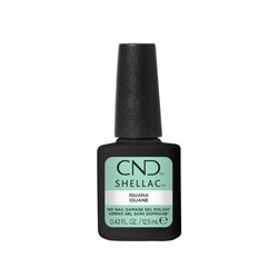 32686- 12 ML